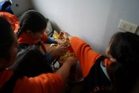 /album/actividades-domingo-24-de-mayo-del-2015/a11214252-10206645835365100-1140324415703501376-n-jpg/