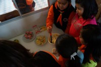 /album/actividades-domingo-24-de-mayo-del-2015/a11351319-10206645844005316-5204408388589151404-n-jpg/