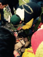 /album/actividades-en-la-caminata/a11052392-10153328531990782-5181986055944228619-n-jpg/