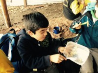 /album/actividades-en-la-caminata/a11209511-10153328540305782-2962599964905283444-n-jpg/