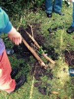 /album/actividades-en-la-caminata/a11390342-10153328536645782-1531364477133963712-n-jpg/